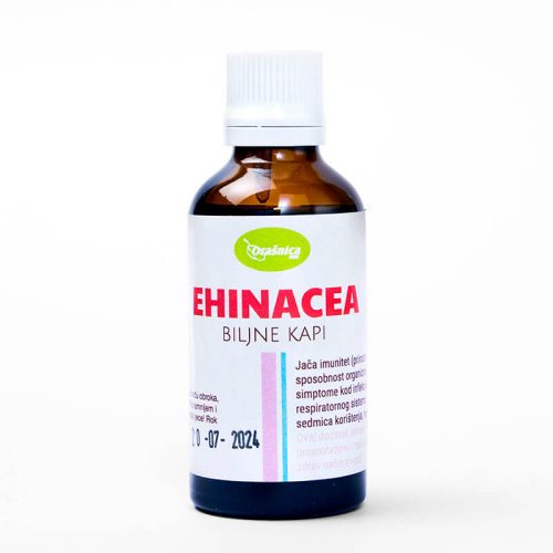 Ehinacea kapi