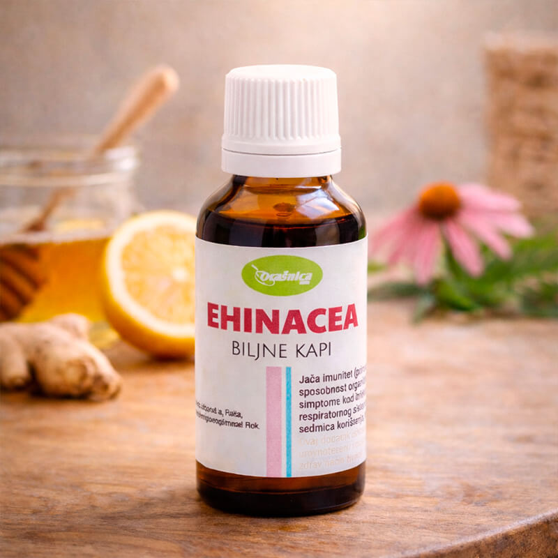 Ehinacea kapi
