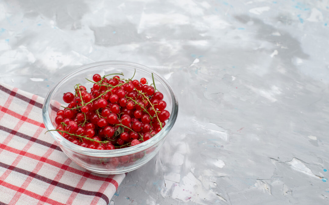 Brusnica: biljka kojoj se mnogi vraćaju iz više razloga